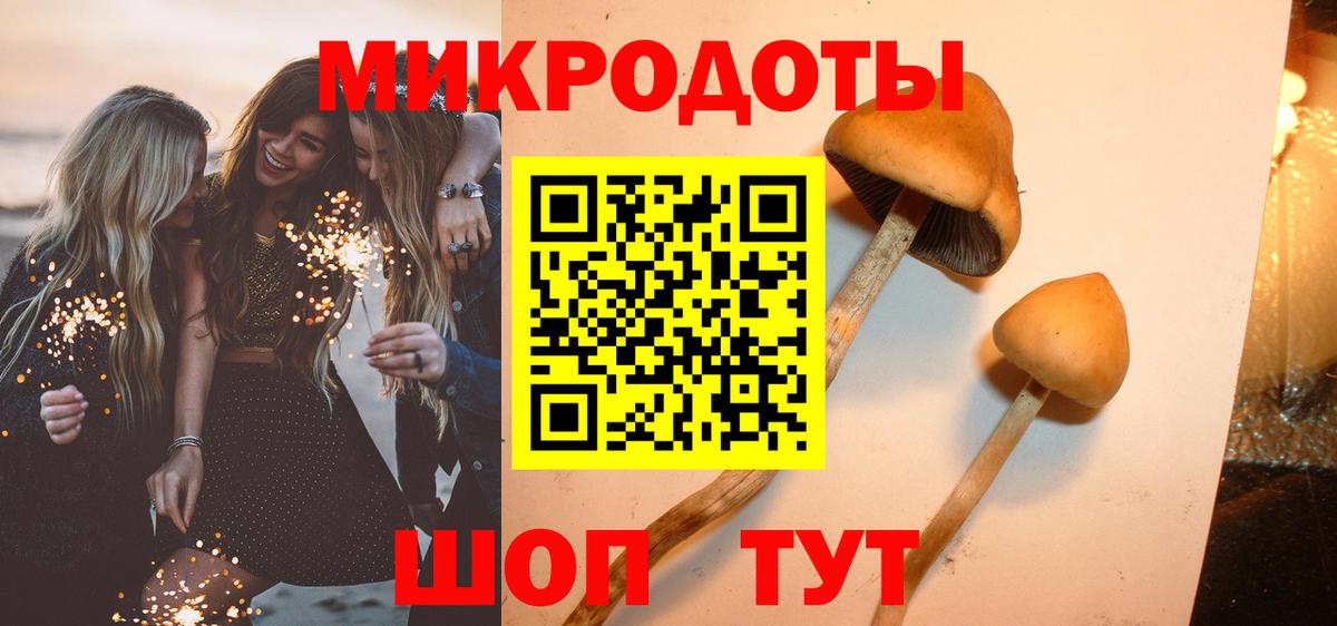 Санкт-Петербург  Галлюциногенные грибы Cubensis  наркота  Вход с VPN 